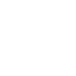 premium-repair-icon